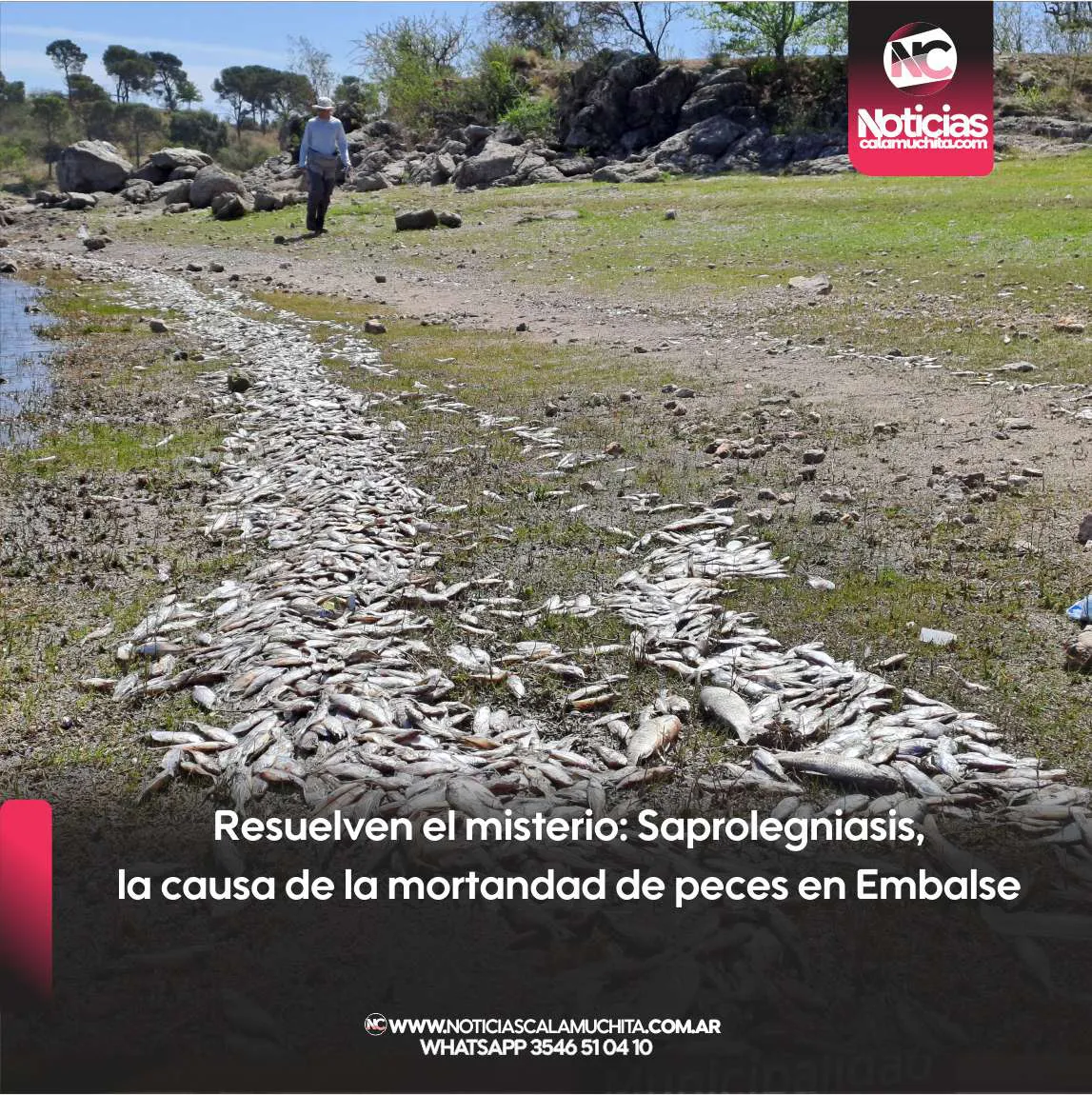 Resuelven el misteri Saprolegniasis, la causa de la mortandad de peces en Embalse