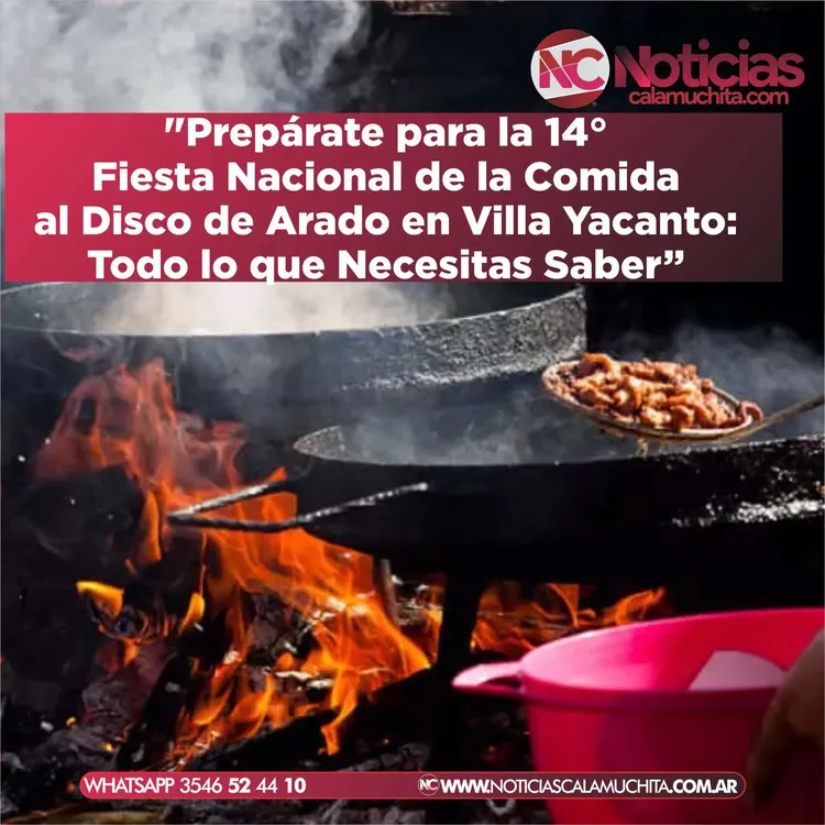 Fiesta del disco de arado