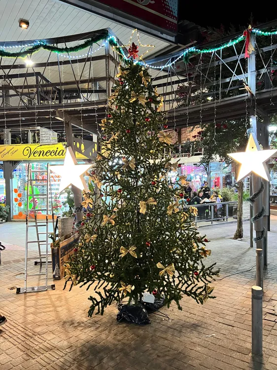 WhatsApp Image 2024-12-20 at 22.03.52