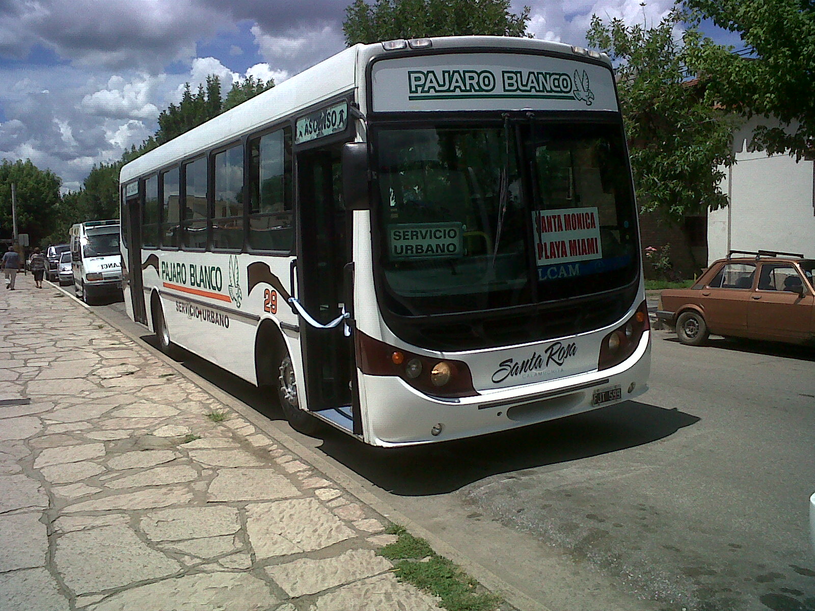 pajaro-bco-1