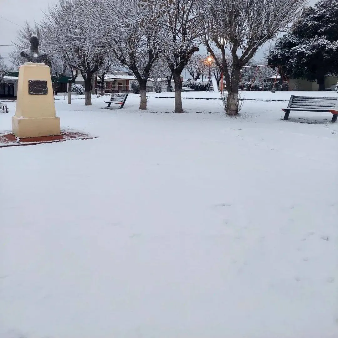 514259278_2928379580703969_9163333563708884301_n