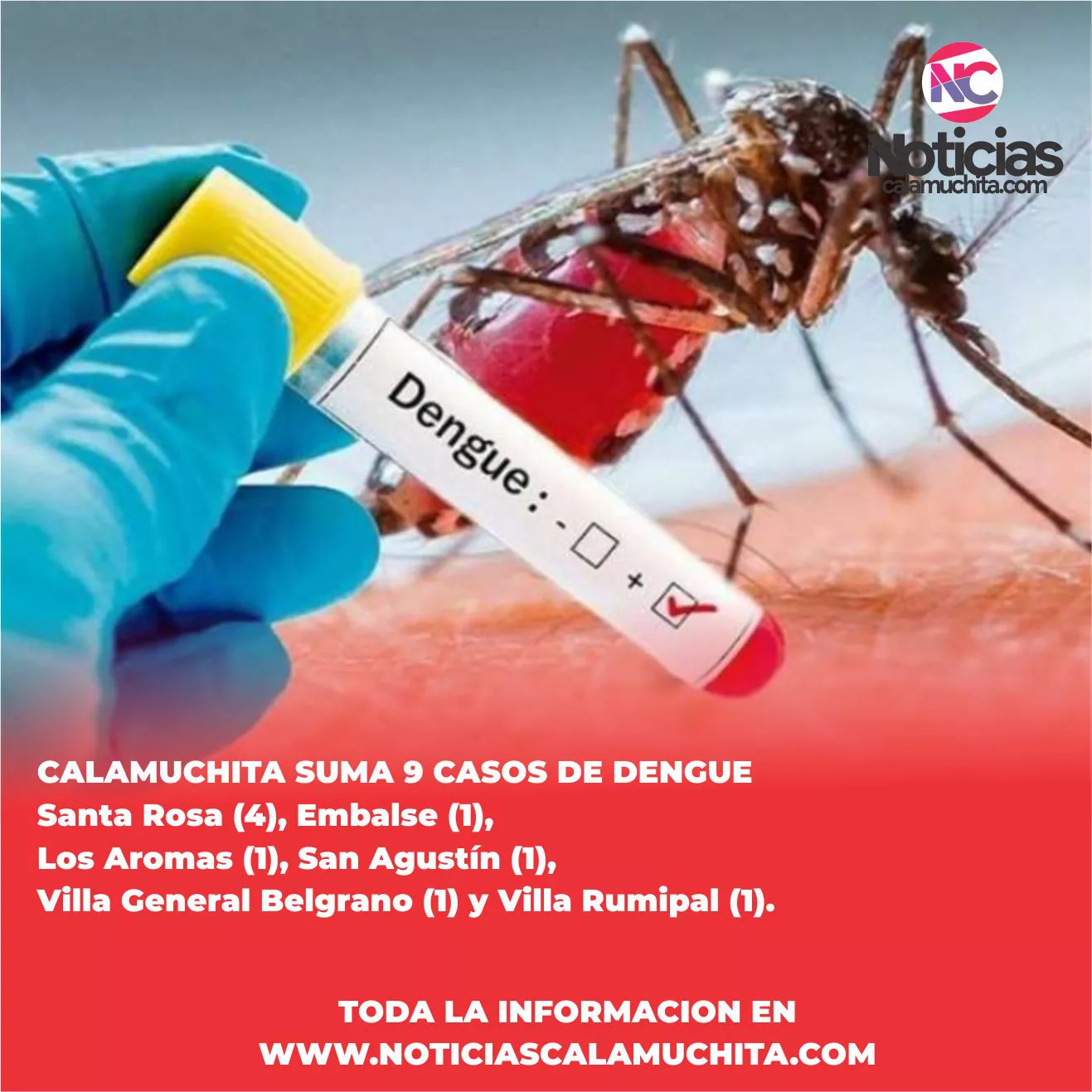 Dengue en Calamuchita