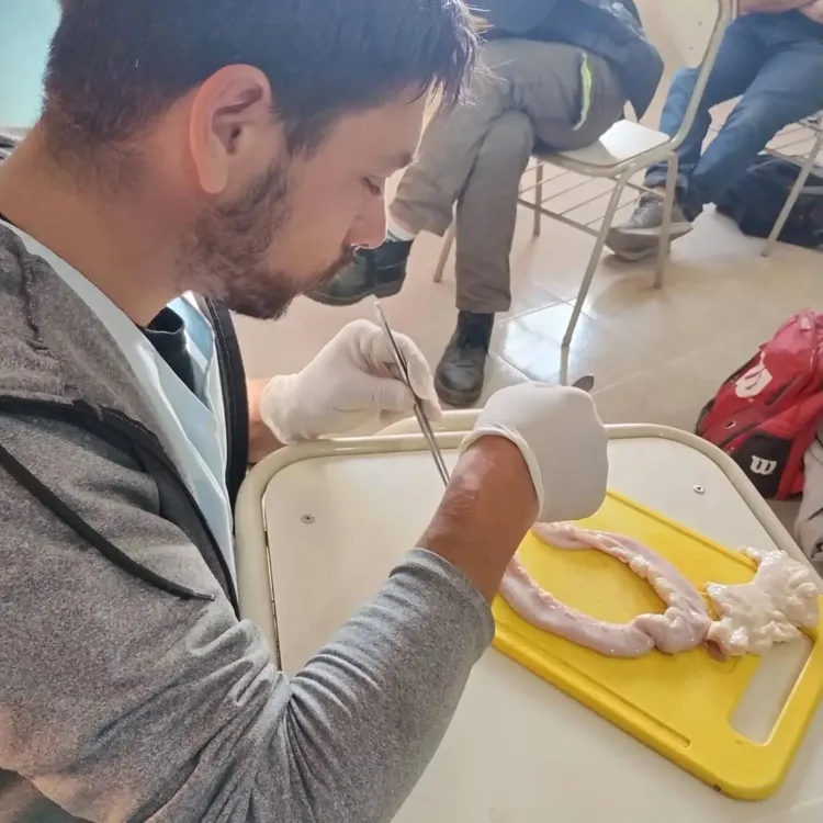 504029197_18102613771557487_1146465818186217844_n