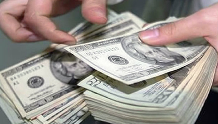 Dolar Archivo