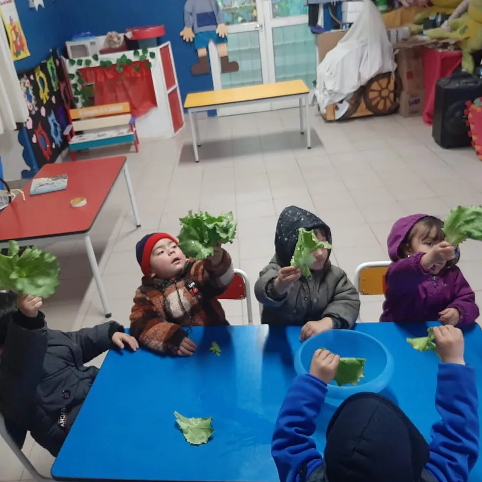 de la huerta a su mesa