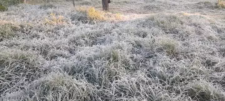 WhatsApp Image 2023-02-18 at 10.16.44