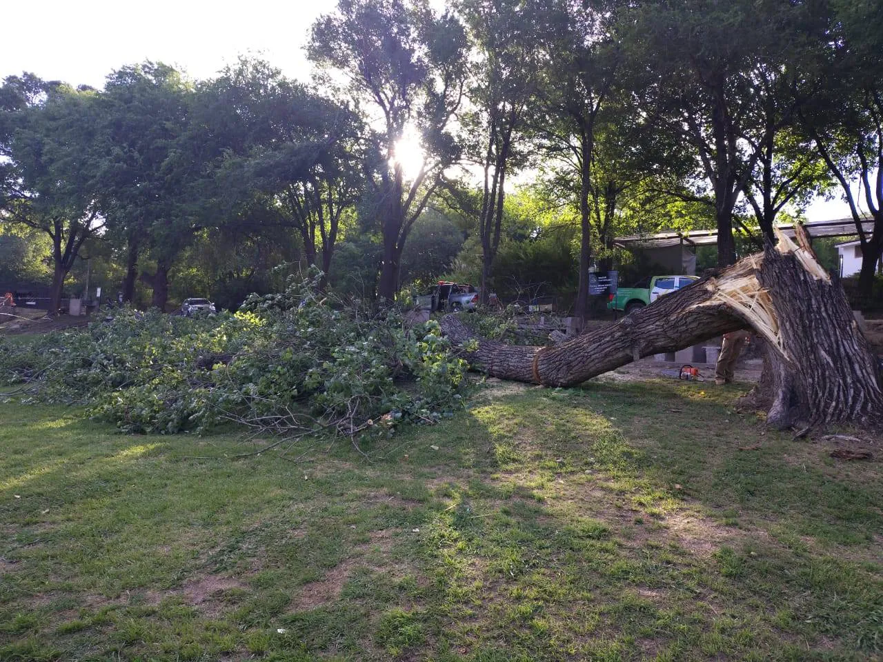 600219734_3107433299465262_6631087946431295488_n