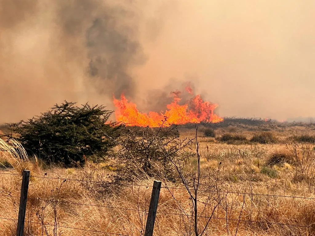 WhatsApp Image 2023-08-21 at 18.44.26