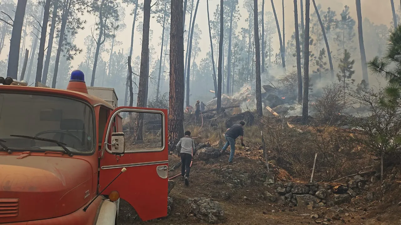 WhatsApp Image 2024-09-02 at 13.03.35