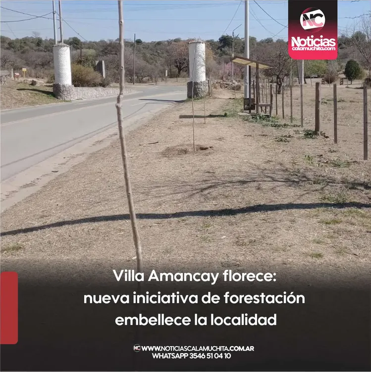 Villa Amancay florece  nueva iniciativa de forestación embellece la localidad