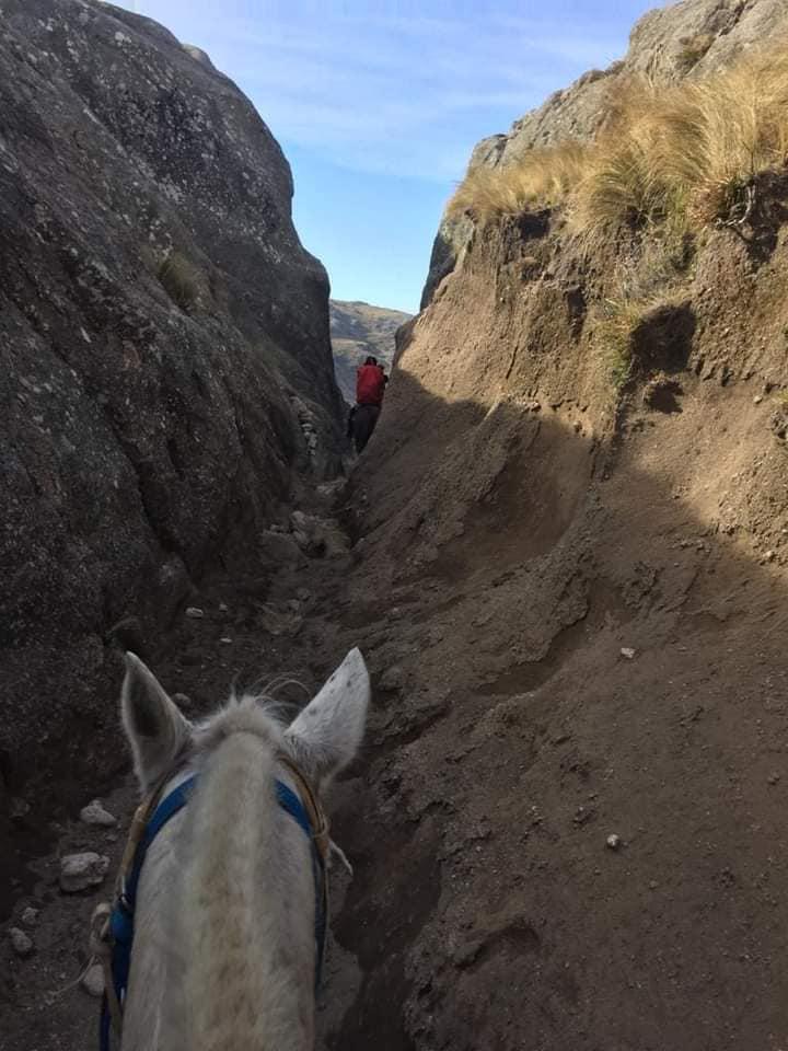 Vacunas en la zona de Alto del Chicharrón en el corazón de nuestras sierras.