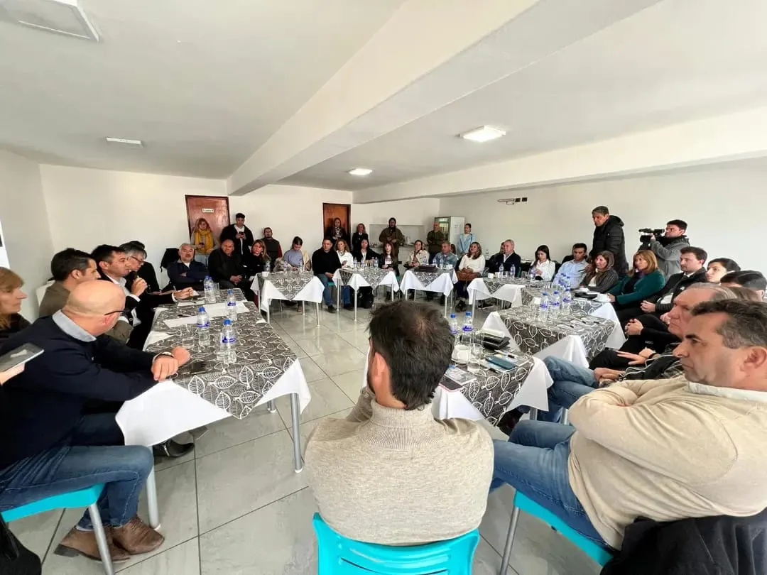 WhatsApp Image 2024-08-12 at 20.00.28