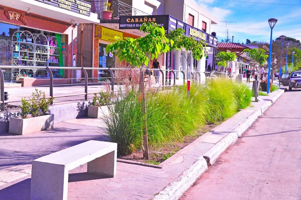 494644657_1270319028436223_5510912364661823650_n