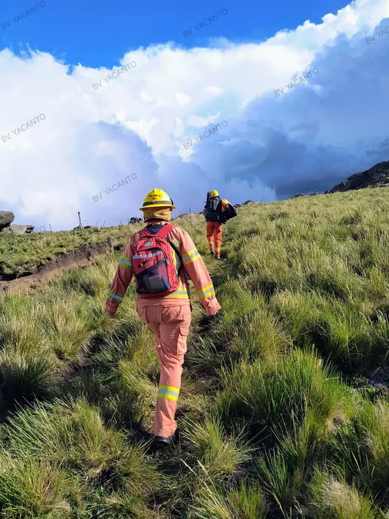 WhatsApp Image 2025-12-21 at 19.23.45