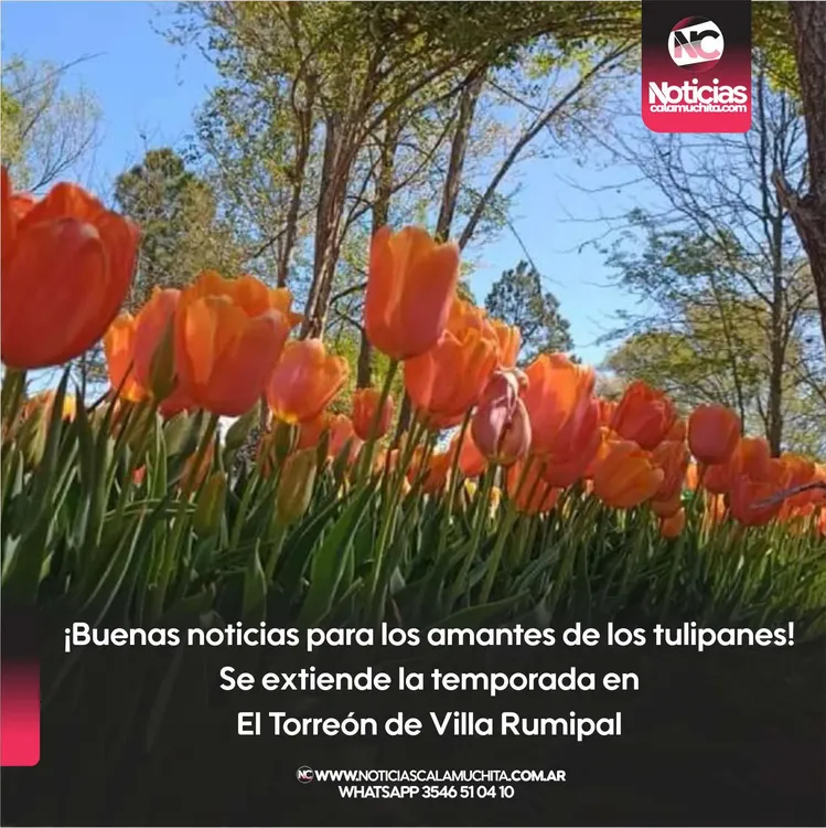 ¡Buenas noticias para los amantes de los tulipanes! Se extiende la temporada en El Torreón de Villa Rumipal
