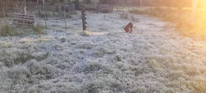 WhatsApp Image 2023-02-18 at 10.16.43