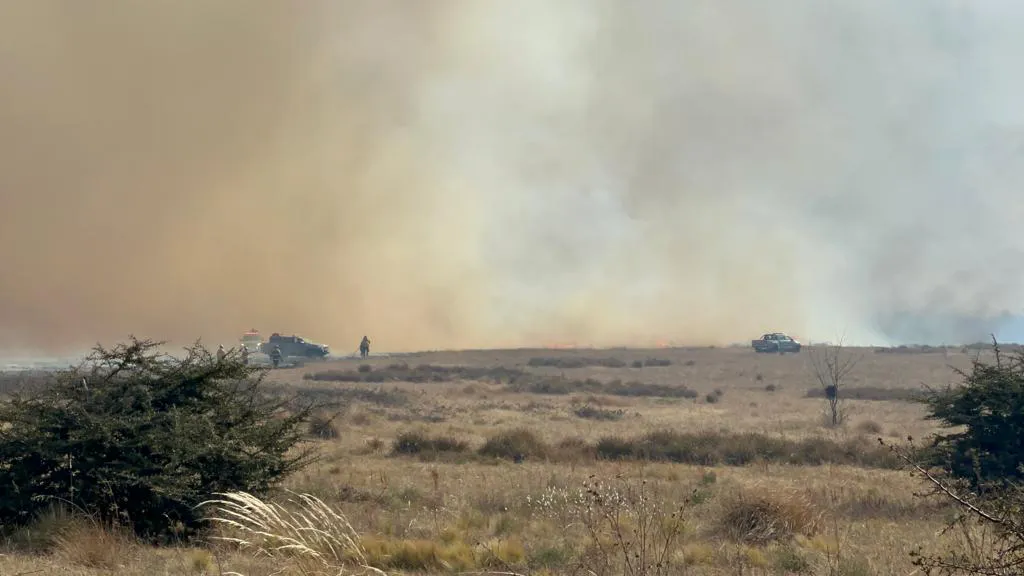 WhatsApp Image 2023-08-21 at 18.44.27