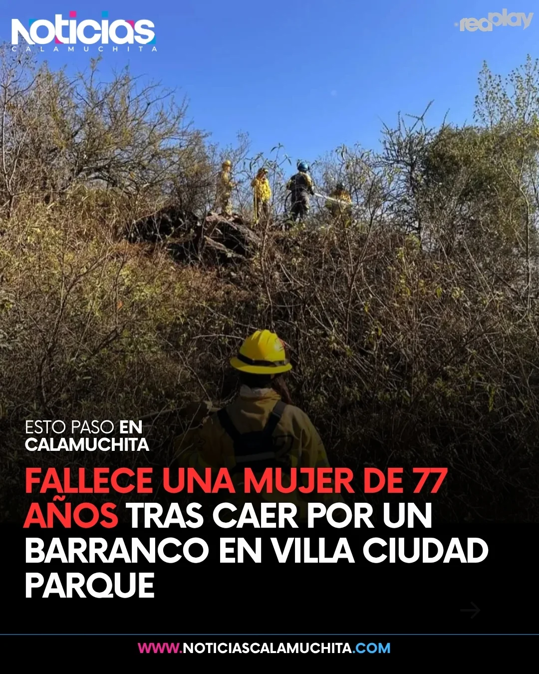 feed noticias