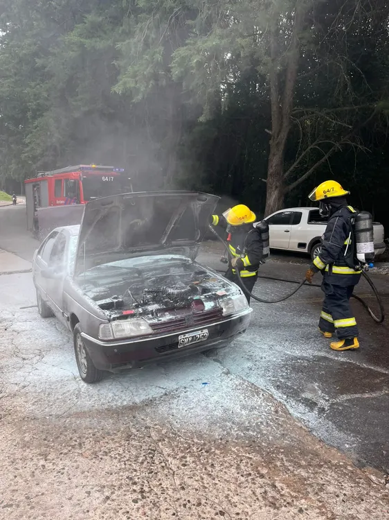 WhatsApp Image 2025-12-29 at 17.23.49