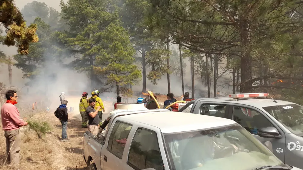 457816404_1856828661394667_4291740415251670128_n