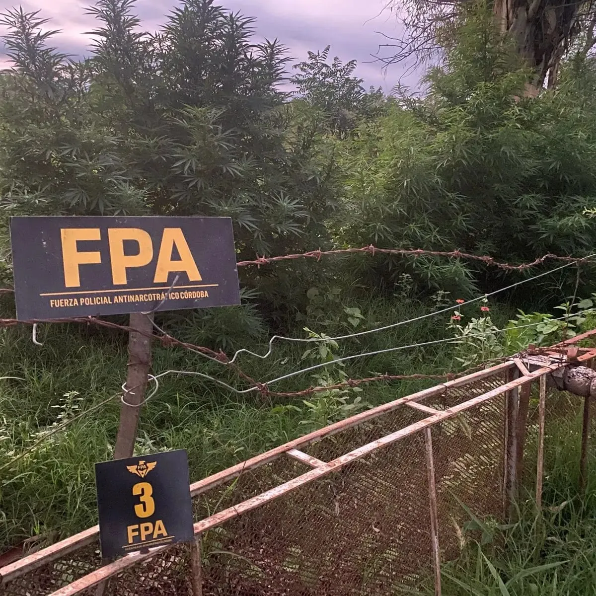 WhatsApp Image 2024-03-02 at 10.06.31