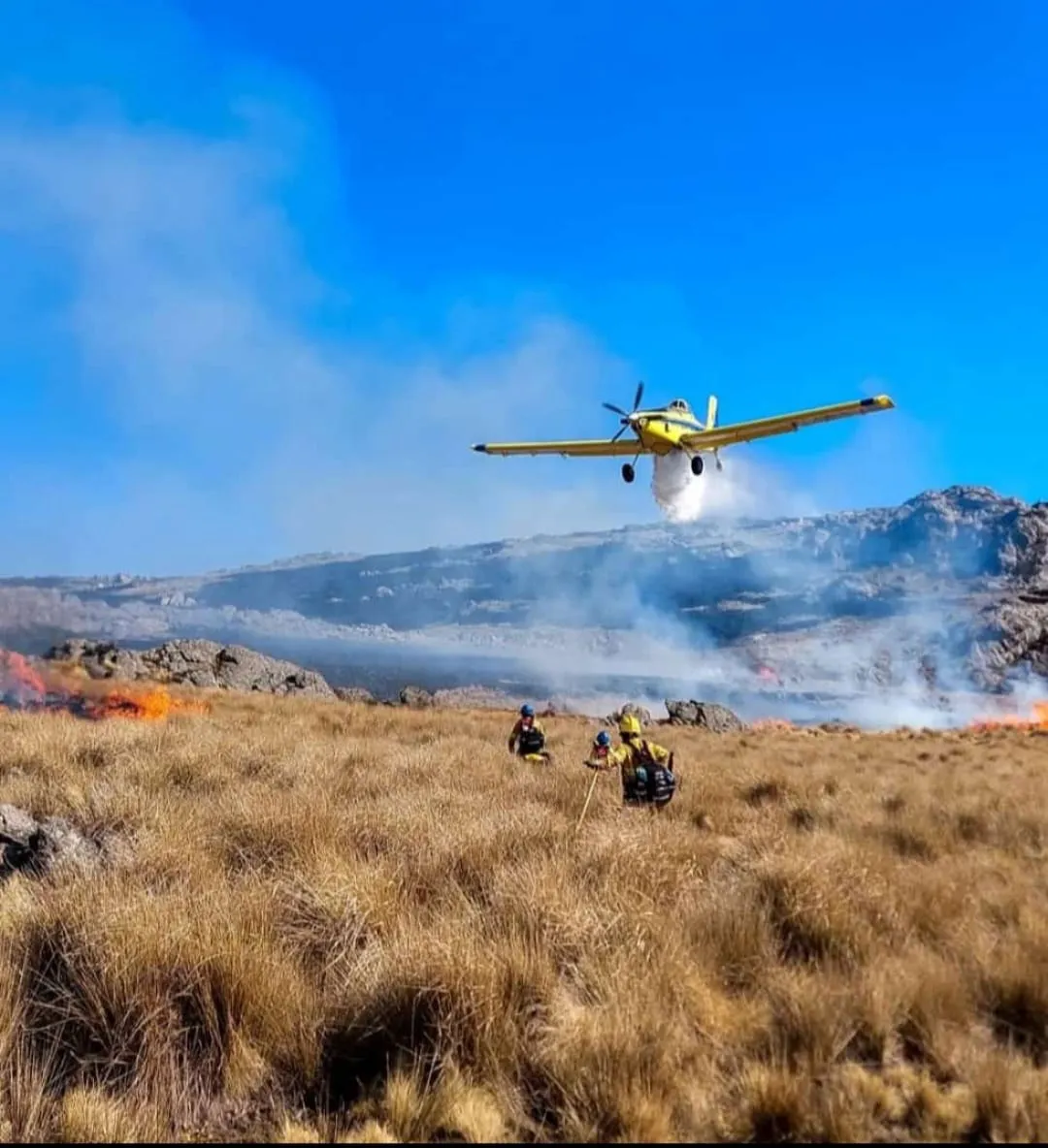 WhatsApp Image 2024-07-16 at 14.44.58