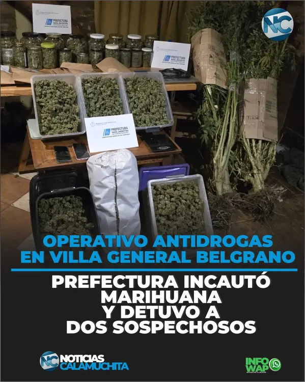 0205 01 feed