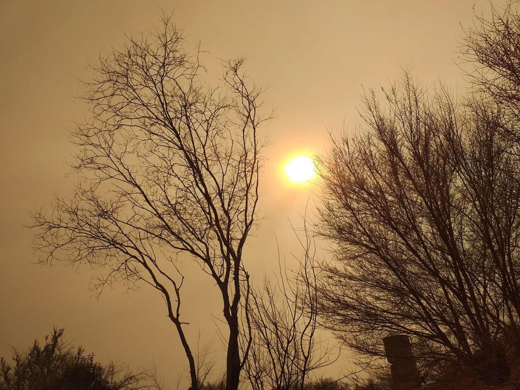 humo viento