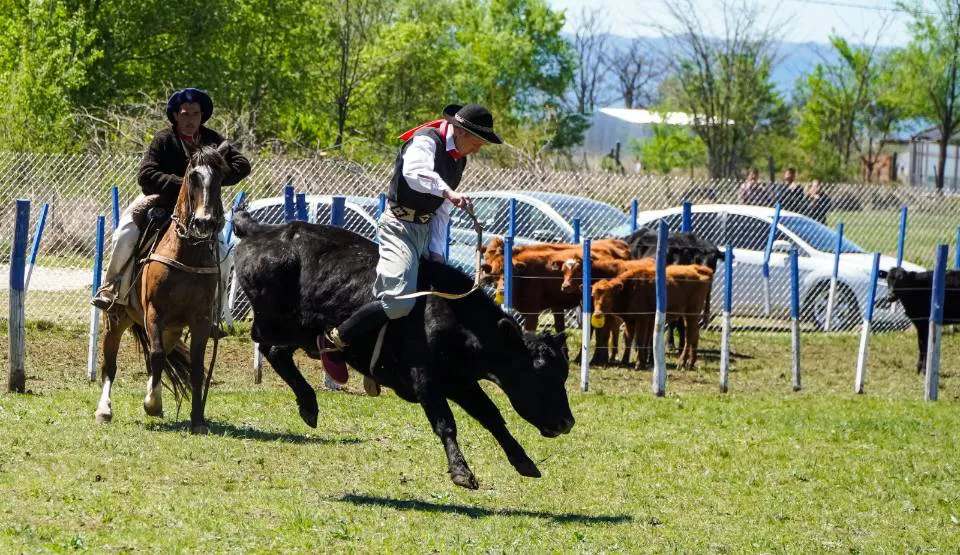 556468733_1234220265411534_4510525658253630482_n