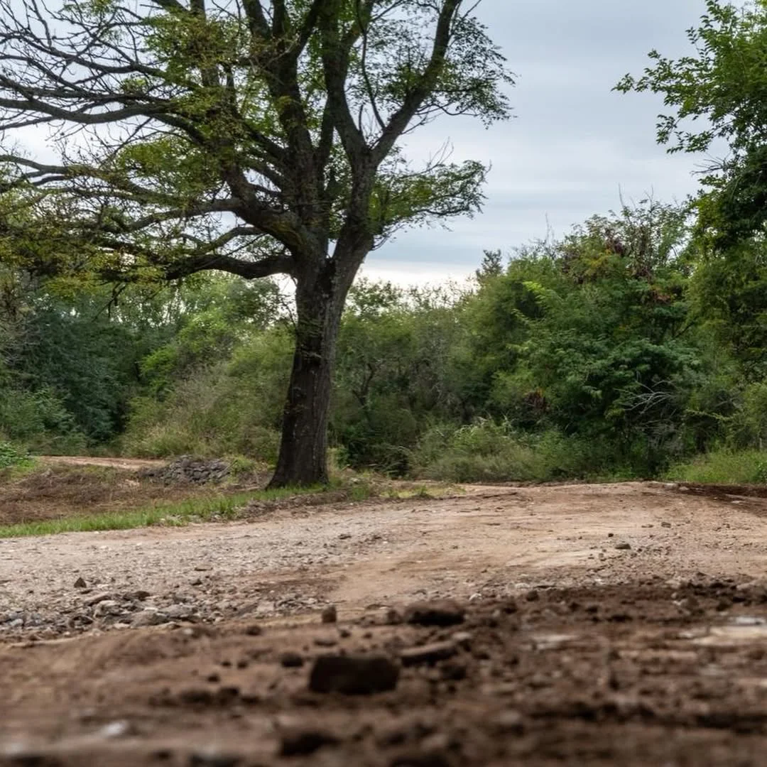 652065963_18361397596207670_4545016575226916295_n