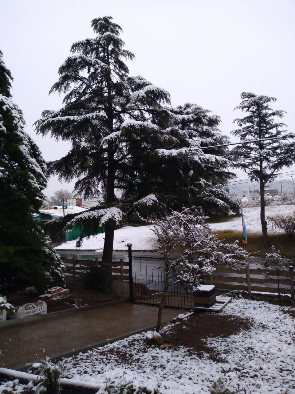 Nevada en Calamuchita 25