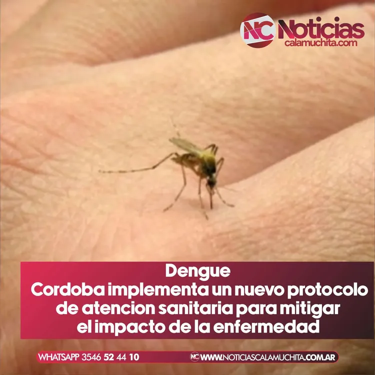 Dengue