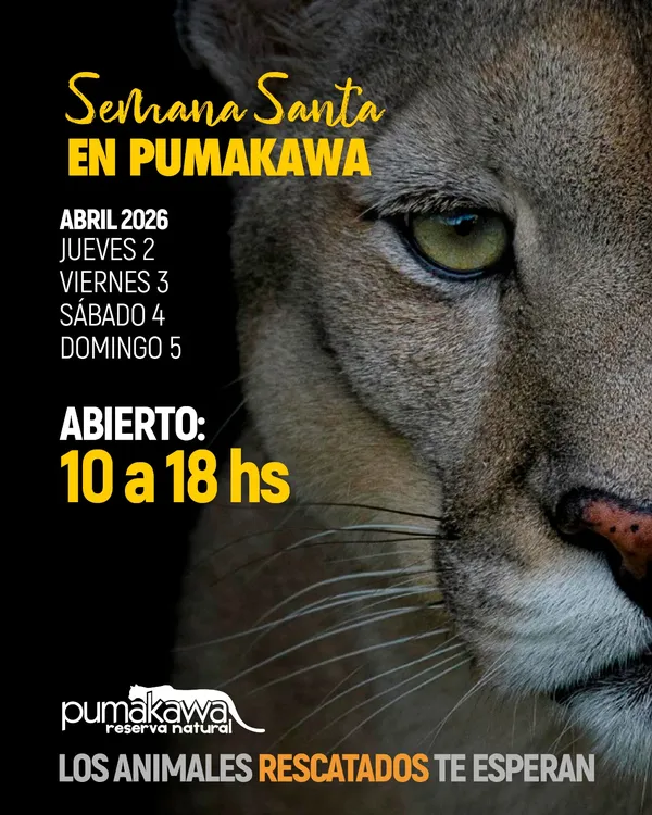 pumakawa semana santa